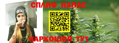 дмт Кимры