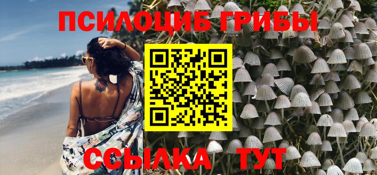 Псилоцибиновые грибы Magic Shrooms Костомукша